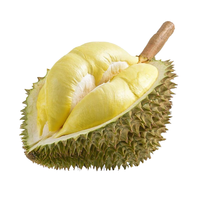 Vers D111 Durian Vers Fruit Bij Voorkeur Voor Veel Durian-Liefhebbers En Kinderen Uit Vietnam Groothandel Premium Hoogwaardig Heerlijk