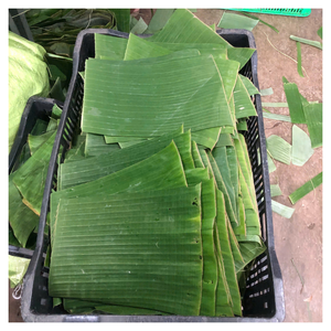 ใบตองธรรมชาติสดสำหรับห่ออาหารและตกแต่งบรรจุภัณฑ์ที่เป็นมิตรต่อสิ่งแวดล้อมและย่อยสลายได้ทางชีวภาพ - Product Image 1