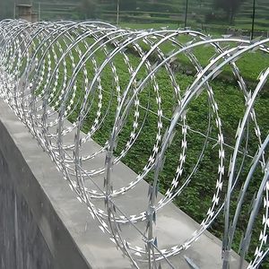 Alambre de Púas de Doble Espiral BTO-22 de Alta Resistencia, Cerca de Alta Seguridad Anti-Intrusión para Zonas Industriales - Product Image 1