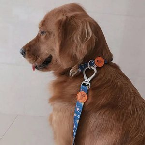 Collar Ajustable para Perro de Nailon/Poliéster con Impresión Personalizada de la Mejor Calidad - Product Image 6