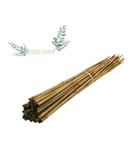 Solution For Construction Bamboo Poles Gardening/ Bamboo Pole Paint With Customized Color And Good Price From Eco2go Vietnam