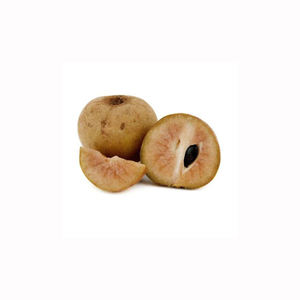 Fruta de sapota chikoo natural fresca, suministro tropical, alta calidad, grado de exportación, proveedores al por mayor para el mercado a granel - Product Image 6