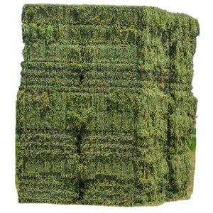 Foin d'alfalfa de première qualité pour chevaux, bovins, porcs, chiens et poissons, farine de soja pour l'alimentation animale - Product Image 2