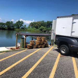 ตะกร้าปูไม้ธรรมชาติพร้อมฝาปิดดอกบัวสีน้ำเงิน - Product Image 6