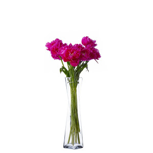 VUT0424 - แจกันแก้วใสทรงบิดเกลียว - 4.7 x 24 - Product Image 5