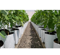 Sacs de culture robustes en LDPE noir et blanc, sacs de pépinière en gros pour arbres, plantes, semis, café et culture agricole
