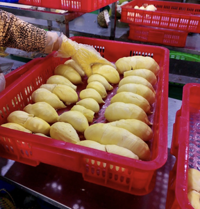 Durian surgelé IQF fabriqué au Vietnam à partir de chair de durian sélectionnée pour la pâtisserie, la création de desserts et les solutions de restauration - Product Image 3