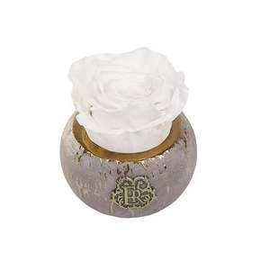 Mini for Tiffany Eternal Luxury Rose Natural Preserved Roses for Valentine's Day and Mother's Day Gifts - Product Image 1