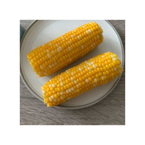 Maíz amarillo de grado superior para consumo humano y animal a precio mayorista - Product Image 5