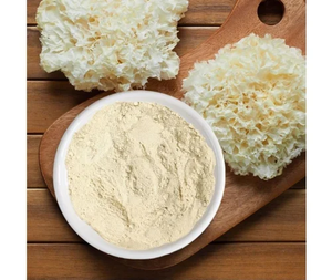 Экстракт <span class=keywords><strong>Tremella</strong></span> <span class=keywords><strong>Fuciformis</strong></span> порошок полисахариды <span class=keywords><strong>50%</strong></span> органический экстракт грибов тремеллы - Product Image 2