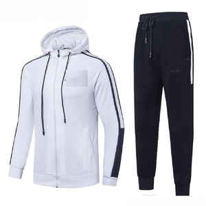 2023 hommes haute qualité polaire survêtements sweats à capuche personnalisés avec Logo pour Jogging bonne vente coton hiver survêtements - Product Image 4