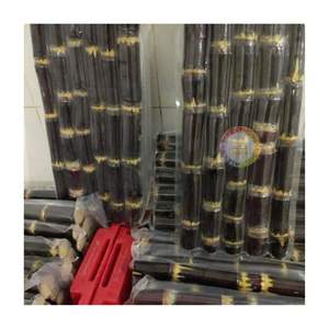 BÂTON DE CANNE À SUCRE CONGELÉ VERT OU MAUVE NATURELLE GRANDE VENTE CANNE À SUCRE 2025 IQF POUR LA MEILLEURE BOISSON D'ÉTÉ - Product Image 6