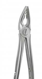 Forceps d'extraction dentaire professionnels en acier inoxydable à surface mate avec manche perforé pour l'élimination des molaires et des prémolaires - Product Image 2