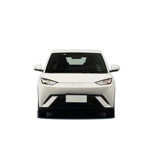 Auto Eléctrico Hatchback 2024 con Tracción Delantera, Interior Oscuro, Techo Panorámico, Asientos de Cuero, Euro VI, Neumáticos R15, Atractivo Vehículo de Nueva Energía - Product Image 1