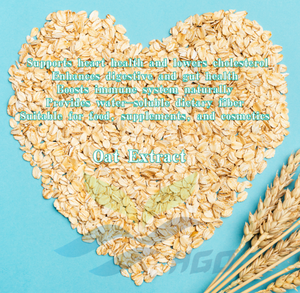 HGO Factory Direct Supply Extrait d'avoine naturelle (qualité alimentaire) Spécification Avoine Bêta-Glucane 5% (extrait standardisé) - Product Image 3