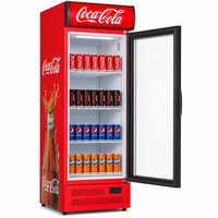 Energiezuinige, instelbare commerciële koelkasten met drankenkoeler en compact ontwerp