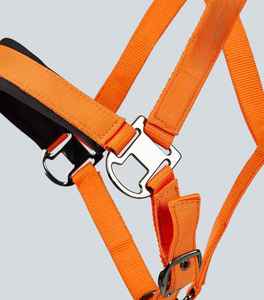 Collar de Cabeza para Caballo de Nailon Estilo Inglés Premium, Resistente y Cómodo, para Entrenamiento, Salto y Uso Diario, Suave y Transpirable - Product Image 6