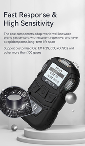 Bosean yüksek kalite sıcak satış taşınabilir K10 metre tek gaz detektörü alarm ölçü CO, H2S, O2, EX gaz - Product Image 6
