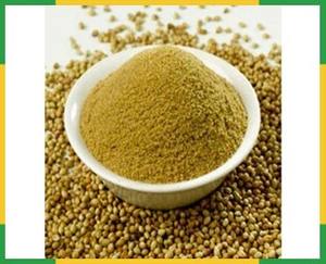 Poudre de coriandre de haute qualité pour l'agriculture, pour les currys, les chutneys et plus encore - Product Image 2