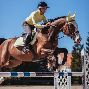 Coussin de selle anglais de haute qualité respirant matelassé doublure douce conception durable pour un confort ultime du cheval et des performances stables - Product Image 5