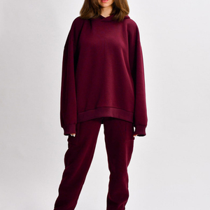 Sudadera con Capucha de Felpa de Algodón 100 % de 500 Gsm, Gruesa, Personalizada por el Fabricante, Sudadera Unisex Extra Grande para Hombre para Invierno - Product Image 1