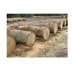Troncos de madera de fresno blanco alemán a granel, mezcla de calidad A/B/C para compradores internacionales que buscan suministro de materia prima de madera dura europea. - Product Image 6