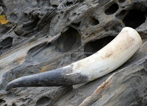 Chope élégante artisanale polie à boire Stein Natural Crafts Tankard pour les amateurs de bière et d'hydromel - Product Image 3