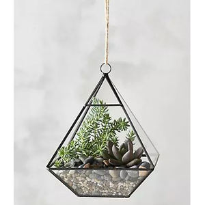 Balcón colgante decorativo moderno creativo artesanía de cristal terrario florero de cristal Marco de hierro con acabado dorado para Decoración de mesa - Product Image 4