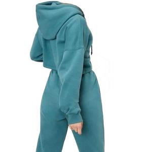 Meilleure qualité coton femmes haut court sweats à capuche coupe-vent fabriqué en usine Streetwear pour l'hiver court longueur haut court col à capuche - Product Image 2