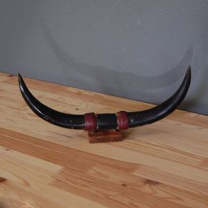 Decoración de Pared con Cuerno de Toro Indio, Cuerno de Búfalo, Estilo Animal Moderno y Ecológico - Product Image 6