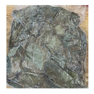 กราวิโอลาแห้งทุเรียนเทศใบไม้สำหรับถุงชา - Product Image 1