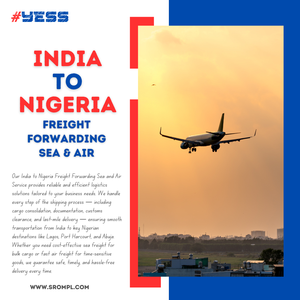 Transport maritime et aérien de l'Inde vers le Nigéria - Product Image 3