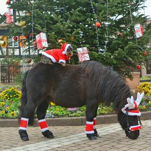 Custom Horse <b>Leg</b> <b>Bandages</b> Fleece Horse Winter Fashion New Design Horse Fleece <b>Leg</b> Wraps with Custom logo - Product Image 3