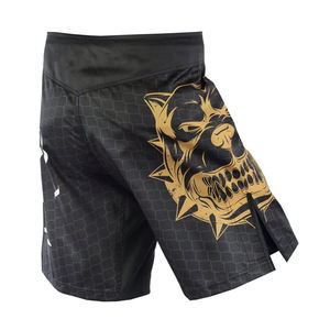 Prince Industry dernière qualité supérieure créez votre propre short Mma personnalisé de haute qualité durable Mma Fight Shorts - Product Image 2