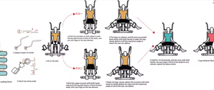 AMAIN Medical - Estirador de Músculos Aductores de Cadera y Estirador de Brazos, Equipo de Rehabilitación para el <span class=keywords><strong>Cuidado</strong></span> de Personas Mayores y Fisioterapia - Product Image 2