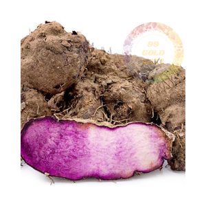 Yam dulce púrpura vietnamita de alta calidad, fresco y puro, precios competitivos para pedidos a granel, entrega internacional rápida - Product Image 6