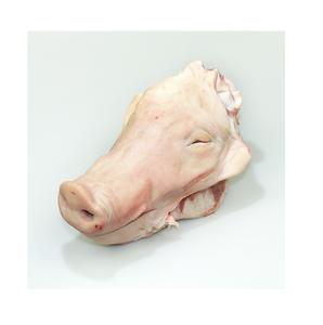 Têtes de porc congelées de haute qualité, moitiés avec oreilles, à prix avantageux, fabricant d'Allemagne, exportations mondiales - Product Image 3