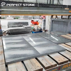 Dalles <span class=keywords><strong>de</strong></span> pavage en granit naturel poli PerfectStone pour projets d'aménagement <span class=keywords><strong>de</strong></span> sols publics d'aéroports, <span class=keywords><strong>de</strong></span> gares ferroviaires et d'infrastructure - Product Image 1