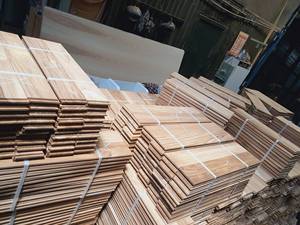 Pedidos personalizados de madera aserrada de teca de alto estándar-Troncos de primera calidad - Product Image 6