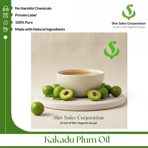 Aceite de Ciruela de Kakadu para Distribuidores B2B que Suministran Marcas de Cosméticos, Centros de Estética y Plataformas de Comercio Internacional - Product Image 5