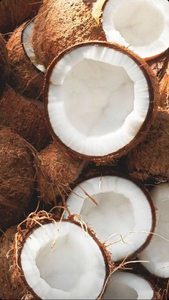 Leche de coco congelada buen precio alta calidad a granel - Product Image 6