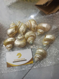 Mezcla de conchas marinas blancas Conchas marinas naturales para decoraciones - Product Image 4