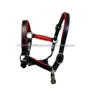 Raccord de licou de cheval en cuir véritable en cuir véritable avec laiton et acier - Product Image 2