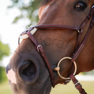 Bride muserolle à 8 tannage végétal avec protection en peau de mouton doublée de mousse et attaches à crochets pour chevaux - Product Image 3