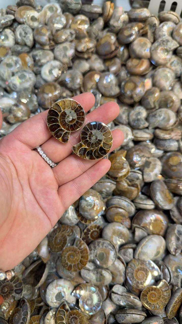 สีน้ำตาล