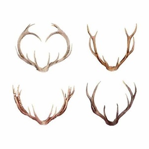 Fournisseur de bois de cerf à prix de gros - Product Image 6