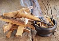 Palo Santo Ecuatoriano Premium al por Mayor: Varillas de Palo Santo de Primera Calidad, de Recolección Sostenible, Provenientes de Ecuador