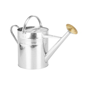 Top tendance Jardin décoré en acier galvanisé vintage pot de fleur enduit de poudre plante bon marché arrosoir en métal - Product Image 1