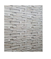 Revestimiento de Pared Exterior Moderno 2025, Diseño 30x60, Ladrillo Mate con Acentos, para Fachadas de Villas, Centros Comerciales y Edificios