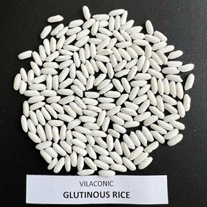 Riz Gluant de Qualité Supérieure 5% Brisures Provenant de l'Usine du Vietnam Prix Bas - Pey - Product Image 1